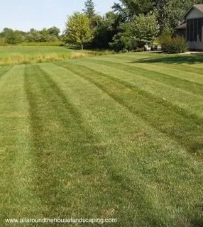 Local landscape design experts serving Northport, AL - All Around the House Landscaping