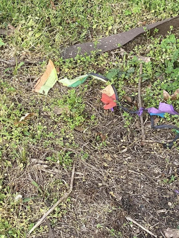 Top-rated residential landscaping for year-round maintenance across Northport, AL - All Around the House Landscaping