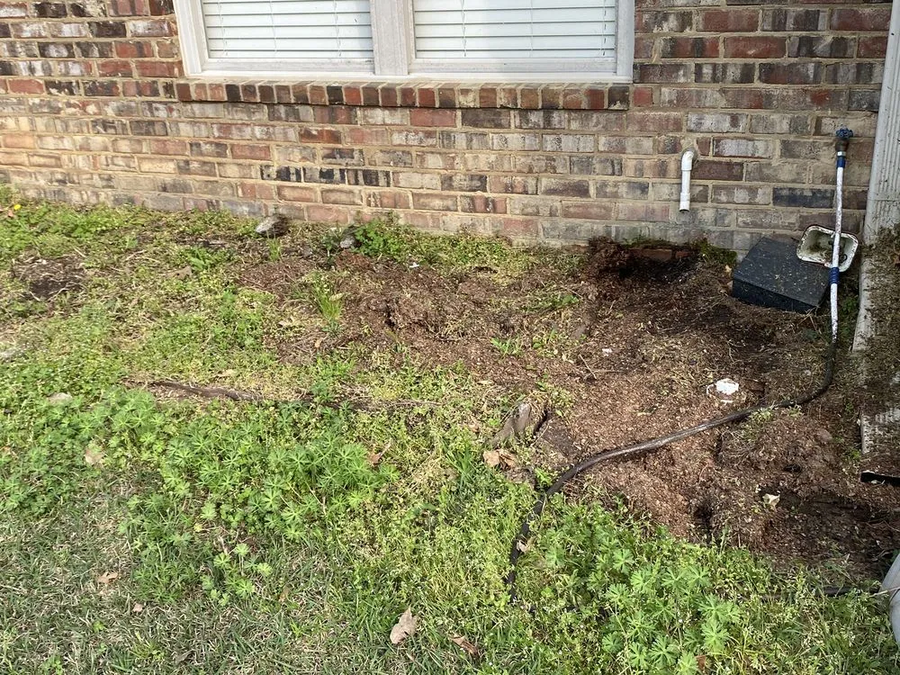 Top-rated yard maintenance experts serving Northport, AL - All Around the House Landscaping