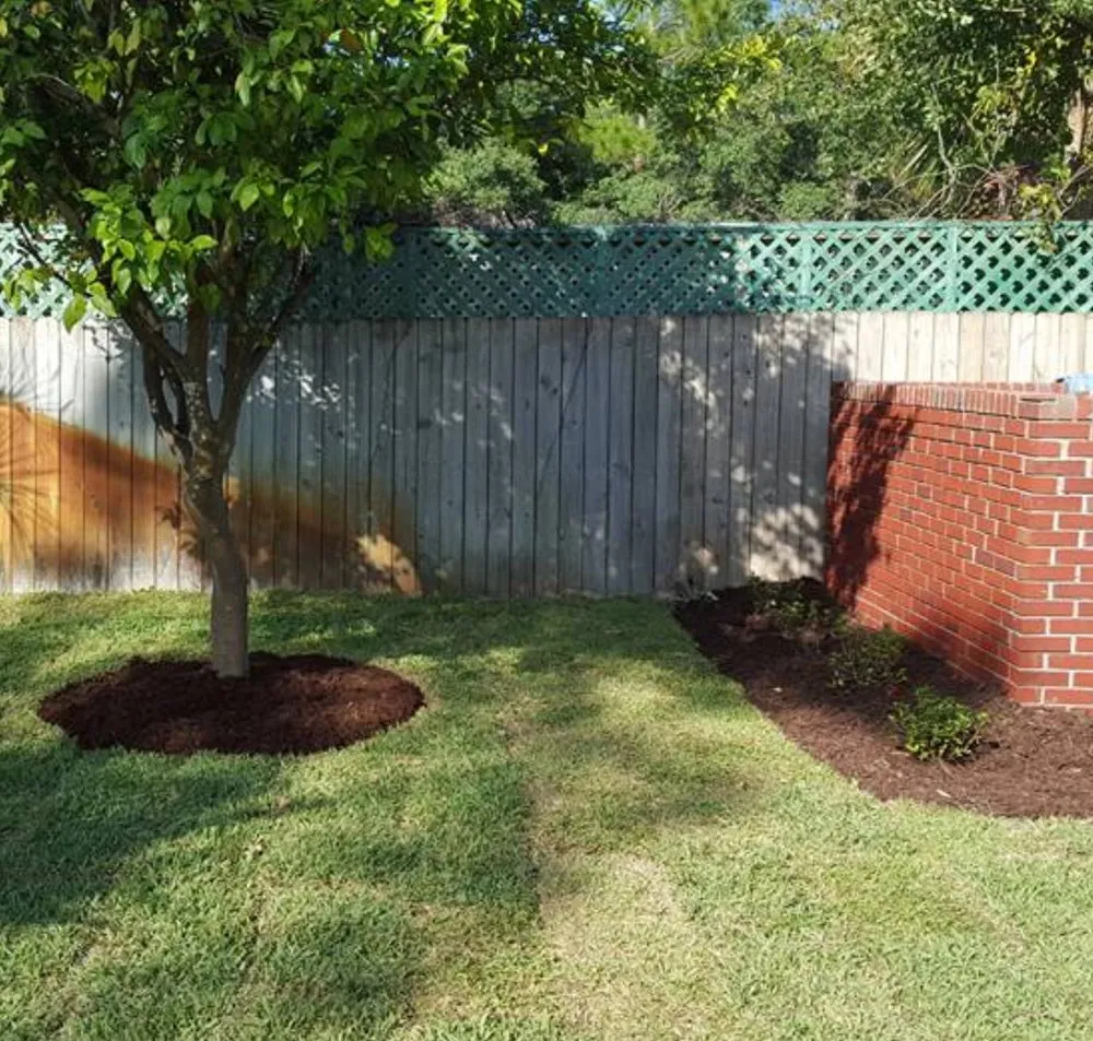Professional garden landscaping in Northport, AL by All Around the House Landscaping