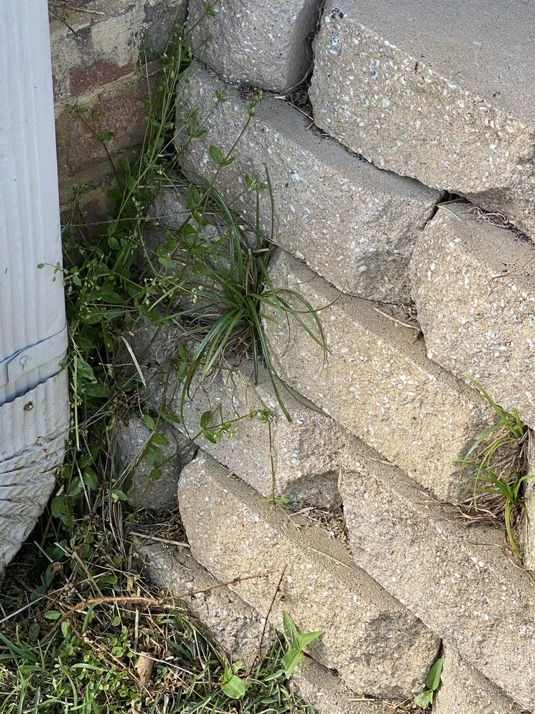 Local residential landscaping experts serving Northport, AL - All Around the House Landscaping