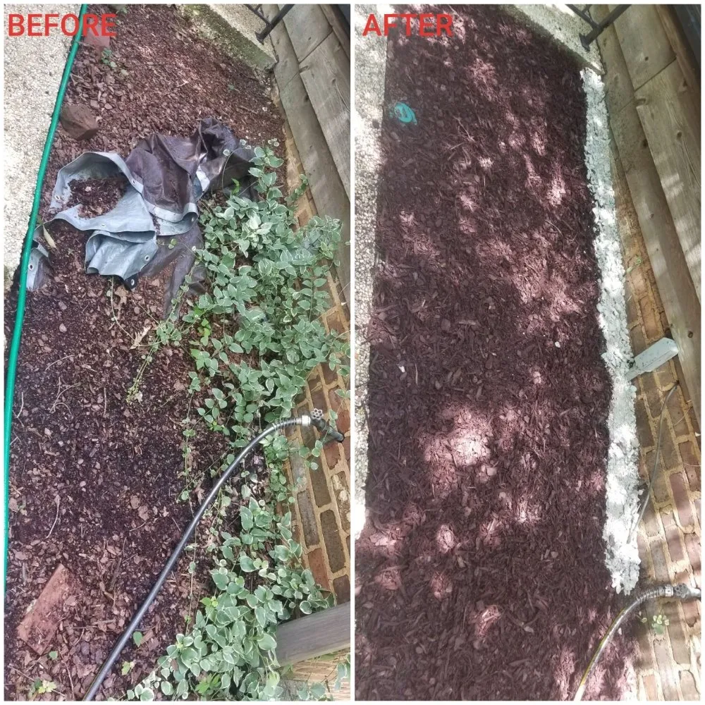 Affordable landscaping services for beautiful yards in Florence, AL by All Around The Shoals Lawncare