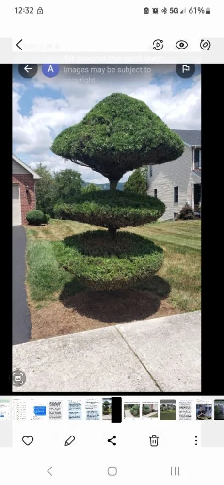 Top-rated lawn mowing service experts serving East Berlin, PA - All Around the Yard Lawn services