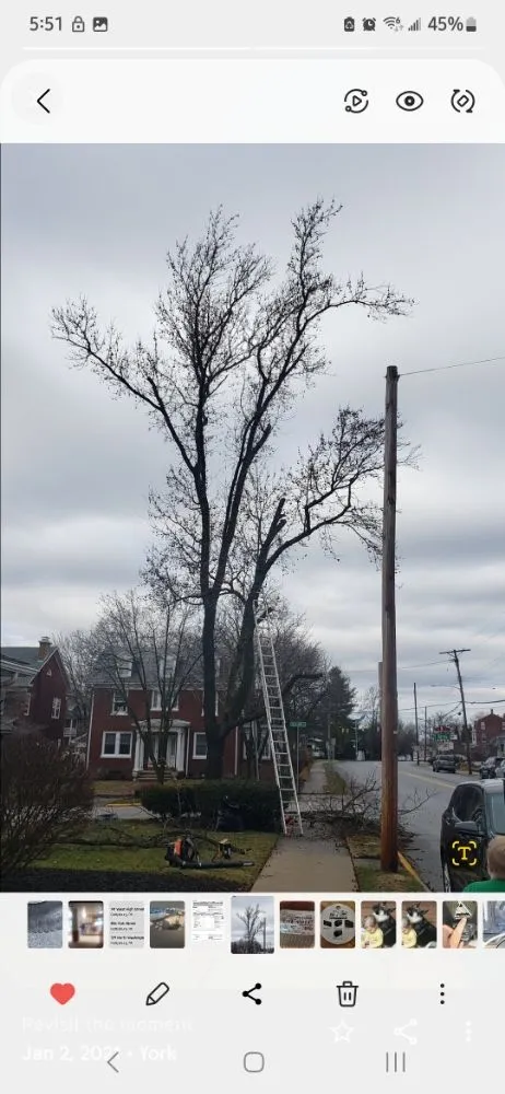 Trusted garden landscaping for residential properties in East Berlin, PA by All Around the Yard Lawn services