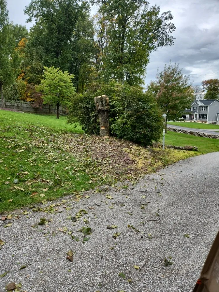 Reliable residential landscaping with custom design in East Berlin, PA by All Around the Yard Lawn services