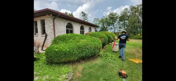 All Around the Yard Lawn services