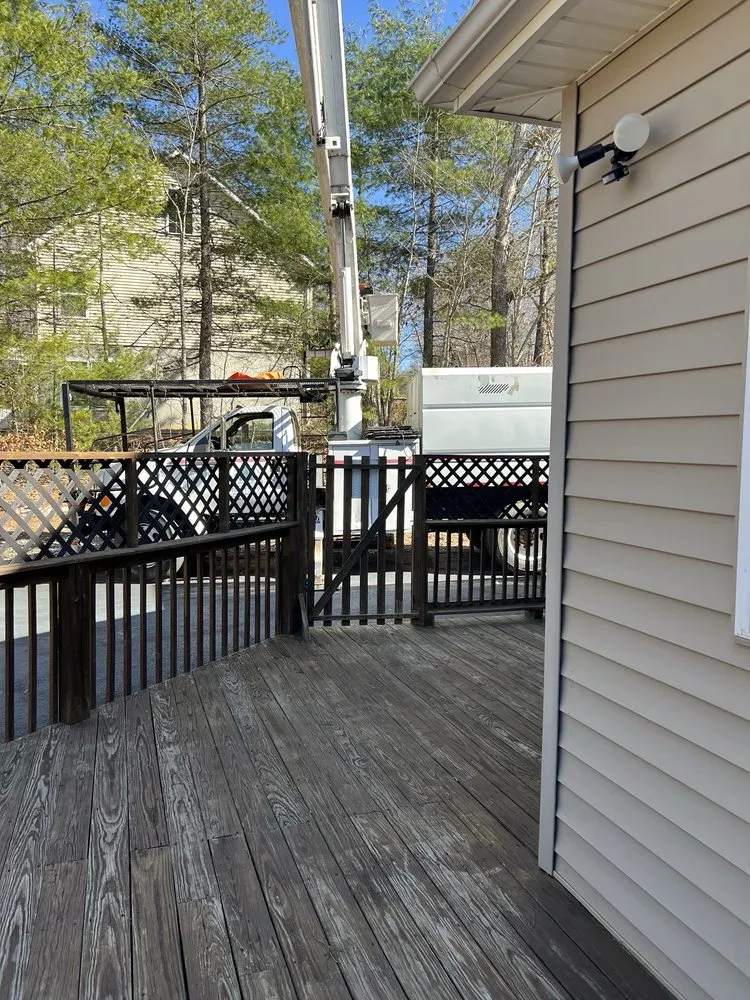 Professional landscape design for residential properties in Hillsville, VA by All Around Tree Guy