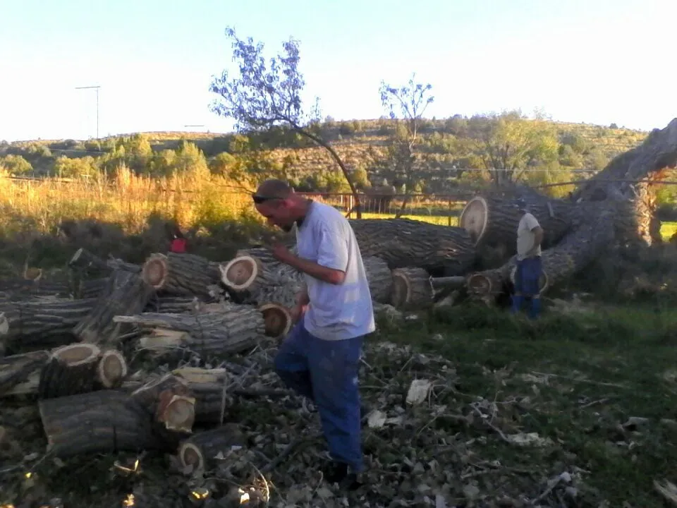 Trusted outdoor landscaping experts serving Farmington, NM - All Around Tree Removal & Landscaping