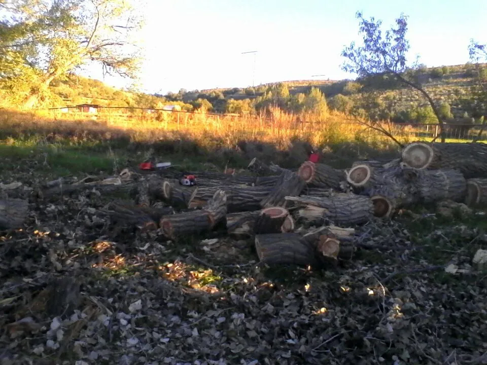 Custom lawn care service for year-round maintenance in Farmington, NM by All Around Tree Removal & Landscaping