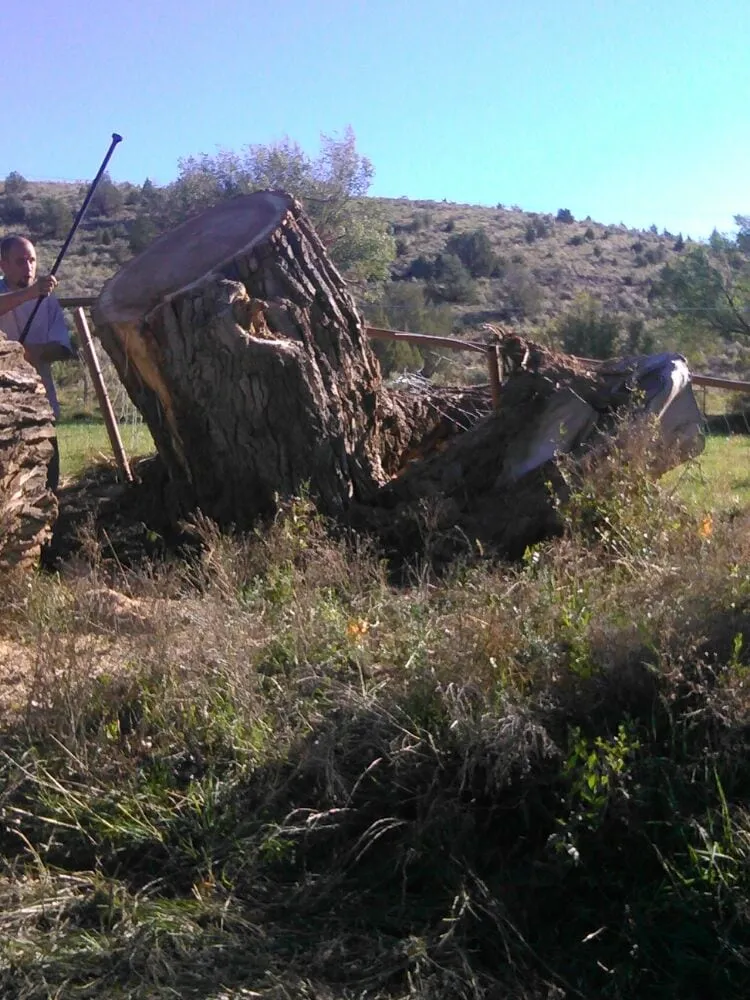 Professional garden landscaping for homes in Farmington, NM by All Around Tree Removal & Landscaping