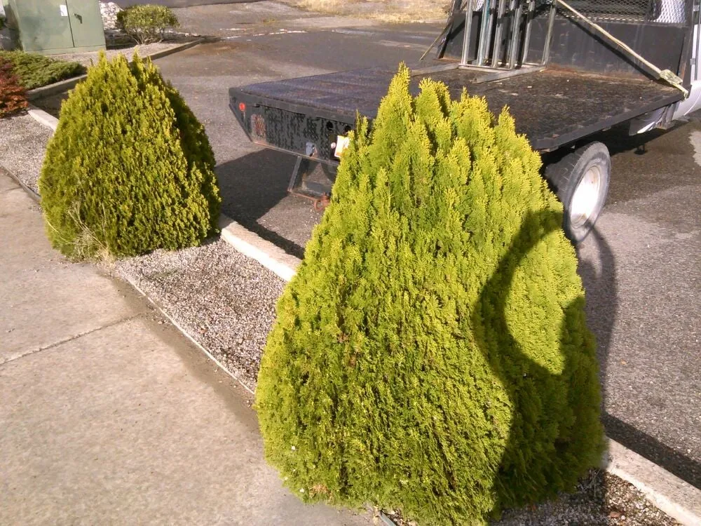 Affordable landscape installation experts serving Farmington, NM - All Around Tree Removal & Landscaping