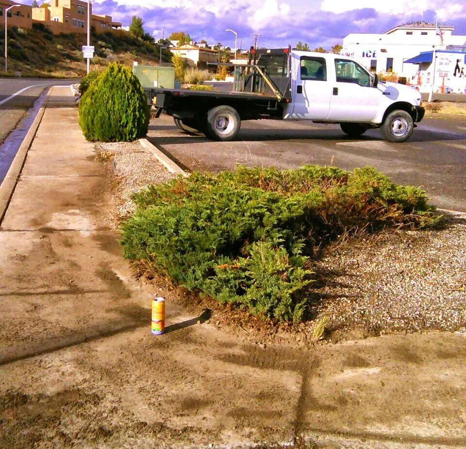 Reliable landscape design experts serving Farmington, NM - All Around Tree Removal & Landscaping