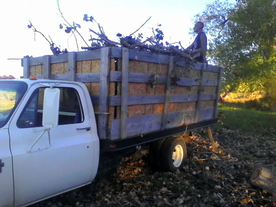 Top-rated residential landscaping near you in Farmington, NM by All Around Tree Removal & Landscaping