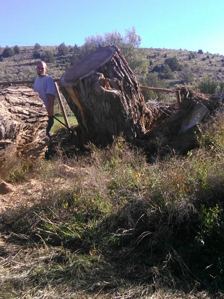 Expert yard maintenance for homes in Farmington, NM by All Around Tree Removal & Landscaping