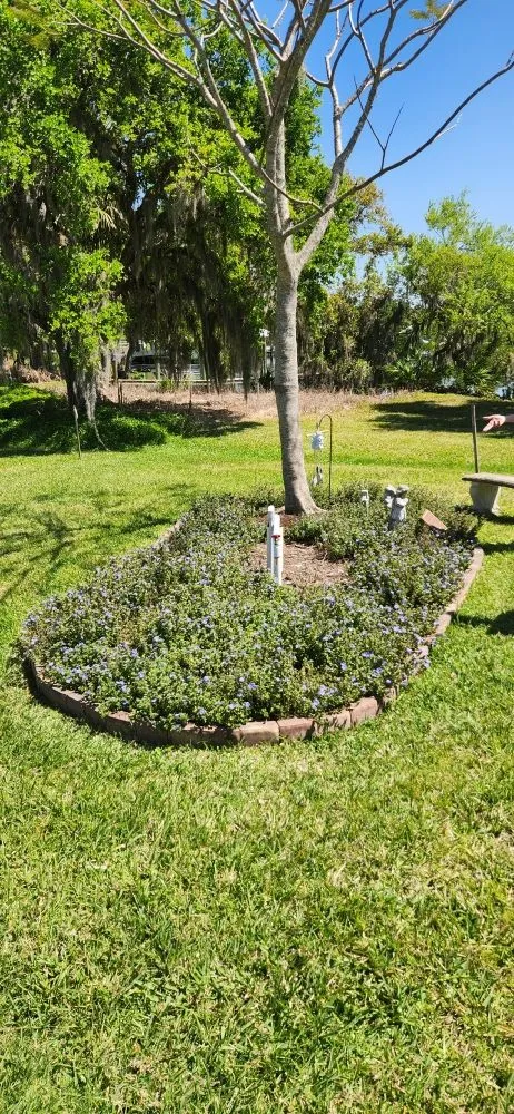 Affordable yard maintenance experts serving Punta Gorda, FL - All Around Tree Specialist