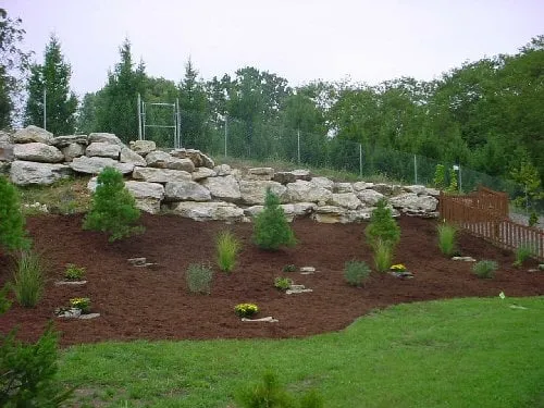 Trusted landscape design experts serving Punta Gorda, FL - All Around Tree Specialist