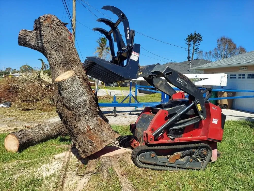 Expert lawn mowing service in Punta Gorda, FL - All Around Tree Specialist