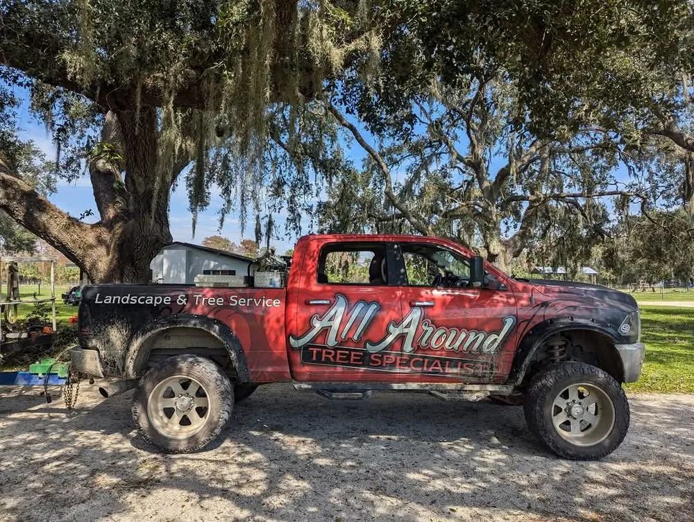 Reliable lawn care service for homes across Punta Gorda, FL - All Around Tree Specialist