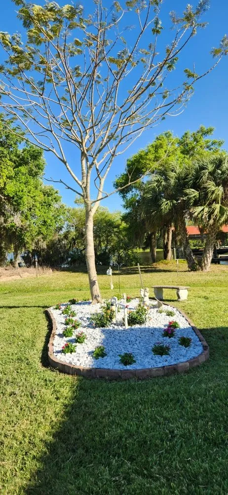 Top-rated yard cleanup service in Punta Gorda, FL - All Around Tree Specialist