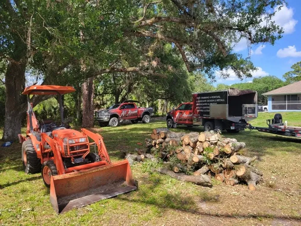 Trusted yard maintenance for year-round maintenance in Punta Gorda, FL by All Around Tree Specialist