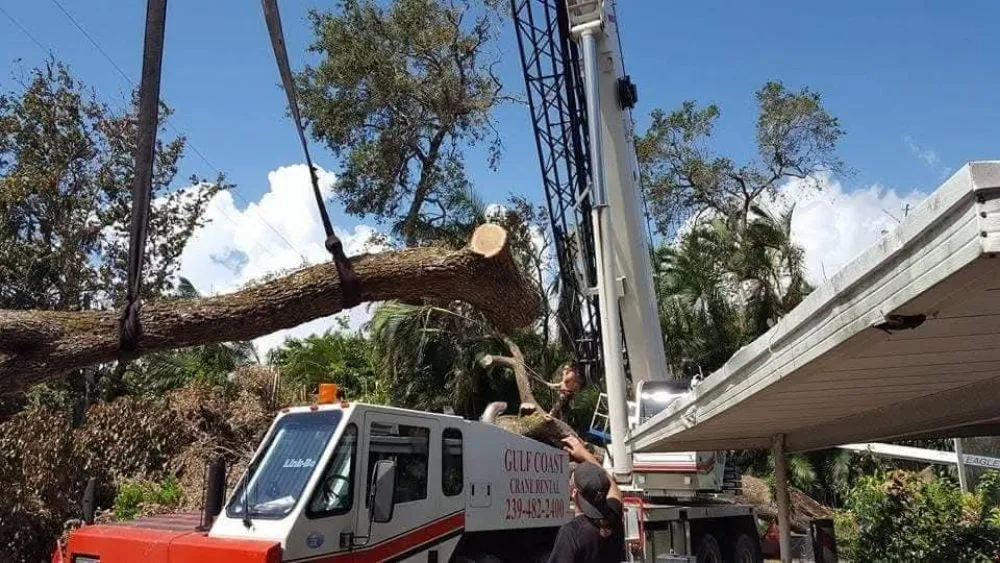 Custom landscape design for year-round maintenance across Punta Gorda, FL - All Around Tree Specialist