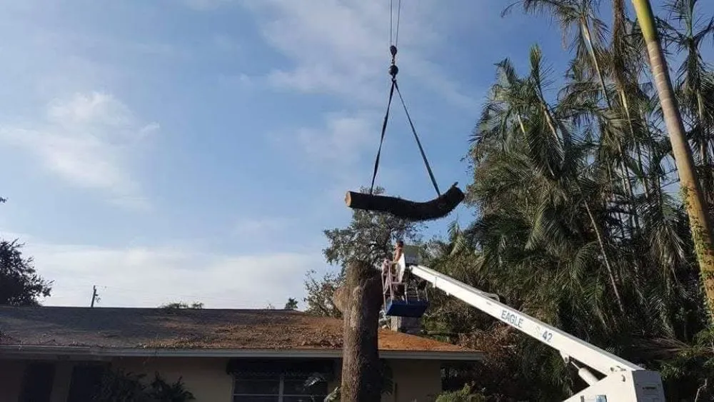 Professional garden landscaping with custom design across Punta Gorda, FL - All Around Tree Specialist