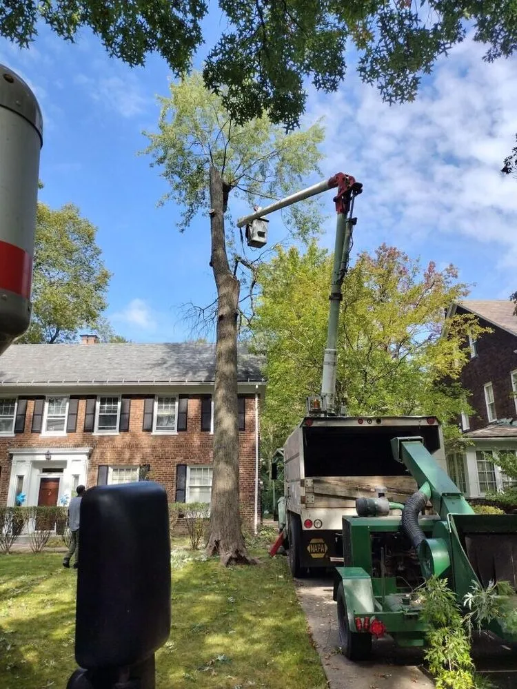 Top-rated yard maintenance for outdoor upgrades in Northfield, OH by All Around Work