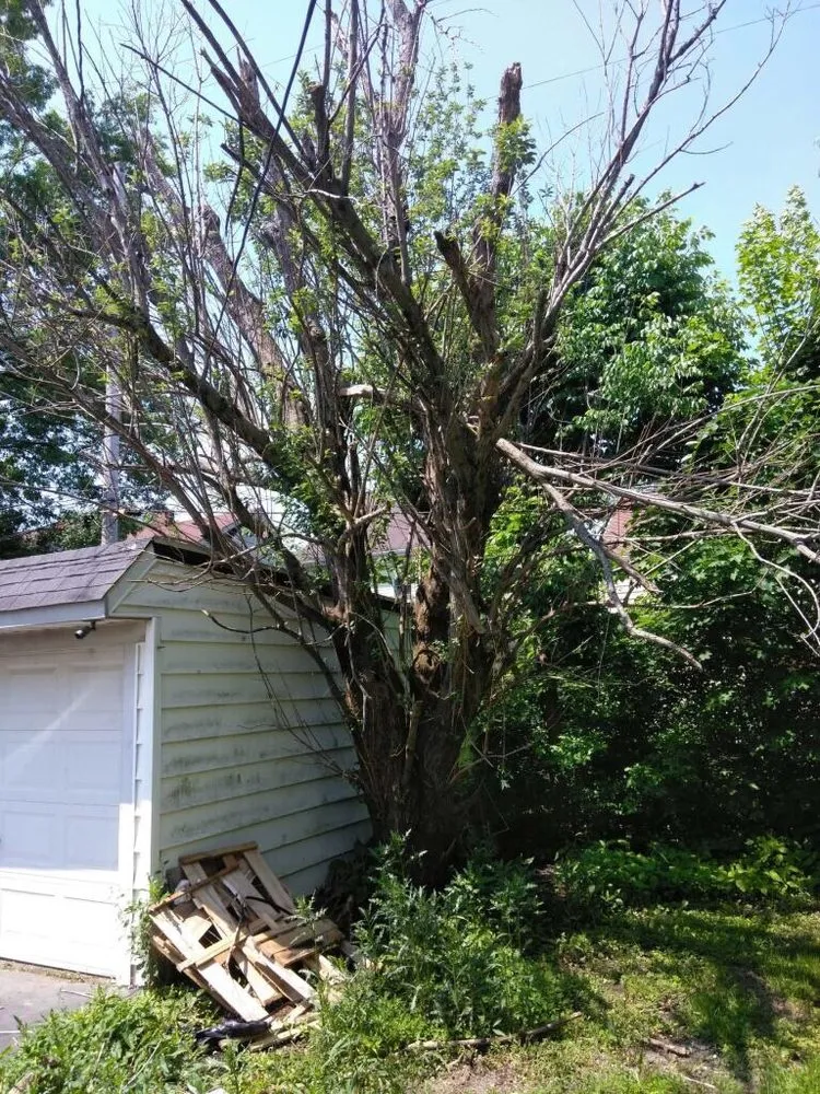 Top-rated landscape installation experts serving Northfield, OH - All Around Work