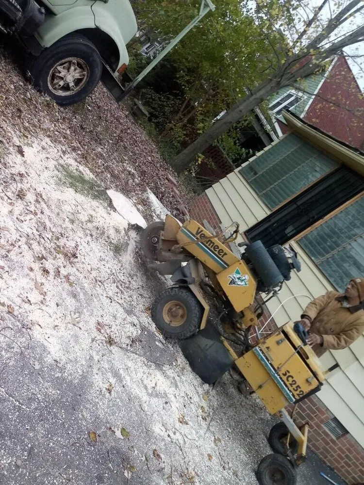 Professional yard maintenance experts serving Northfield, OH - All Around Work