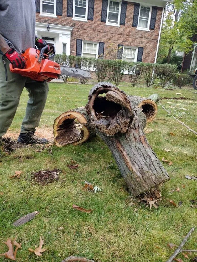 Custom garden landscaping in Northfield, OH by All Around Work