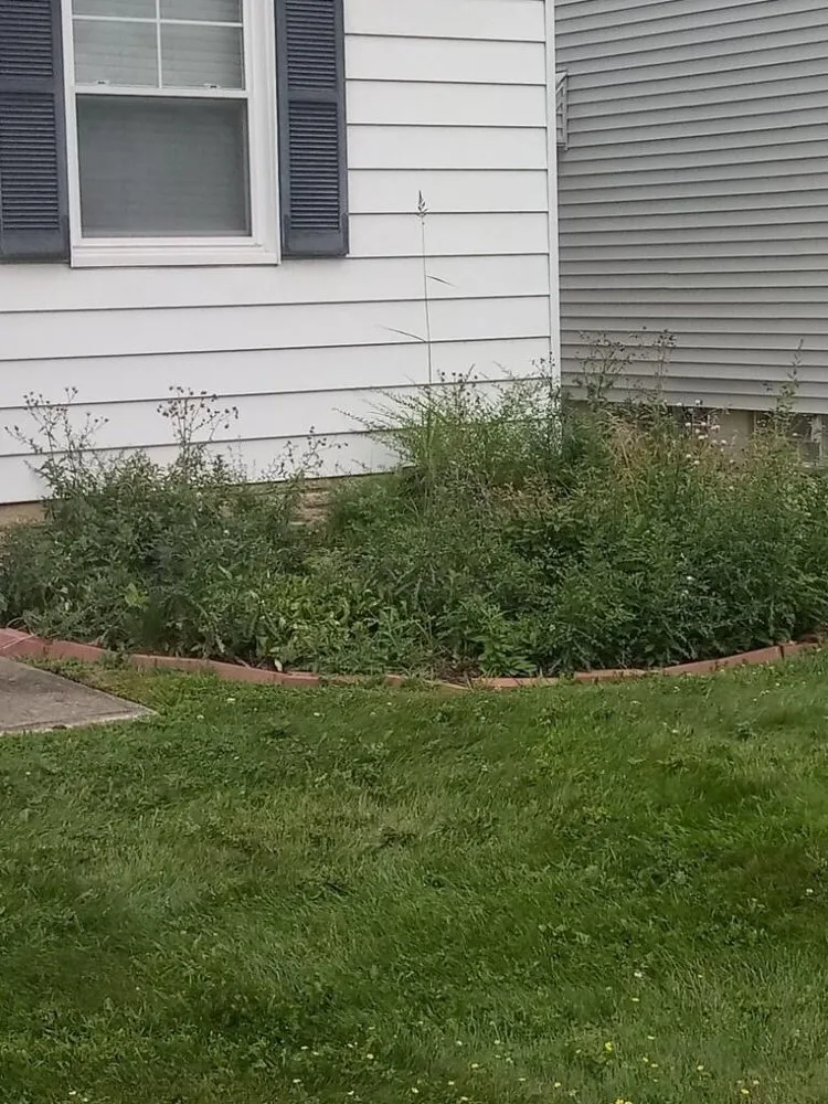 Expert yard maintenance for beautiful yards in Northfield, OH by All Around Work