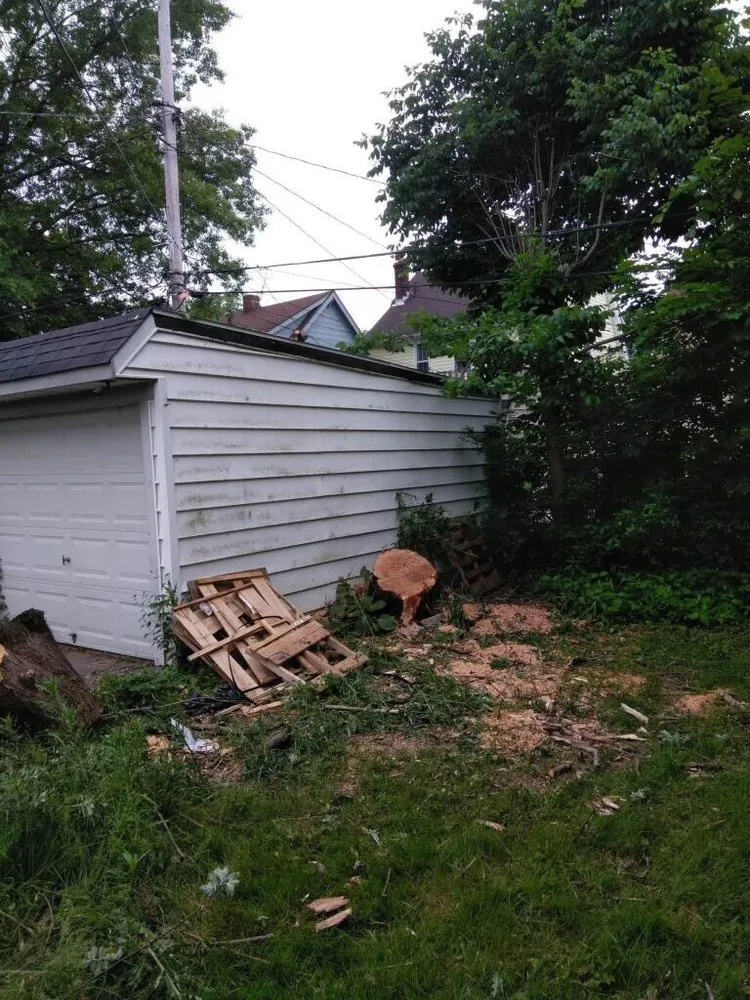 Top-rated landscape design for homes in Northfield, OH by All Around Work