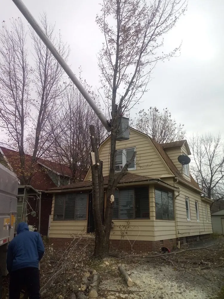 Affordable landscape design in Northfield, OH by All Around Work