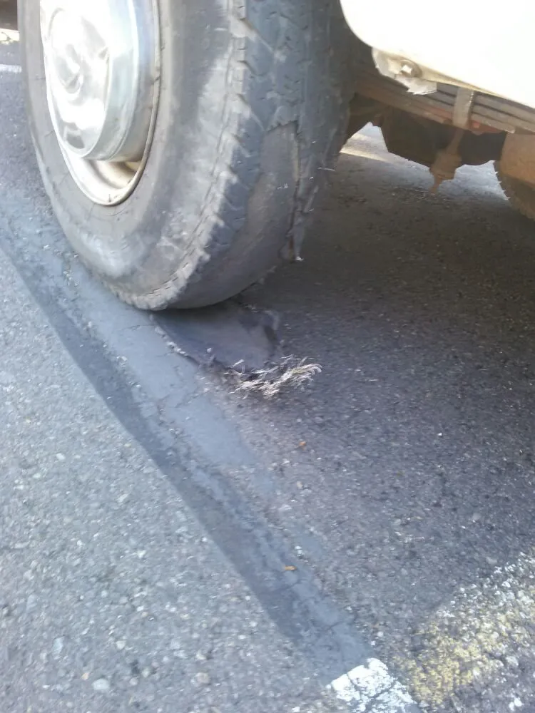 Expert yard maintenance experts serving Portland, OR - All Around Yard Care Services