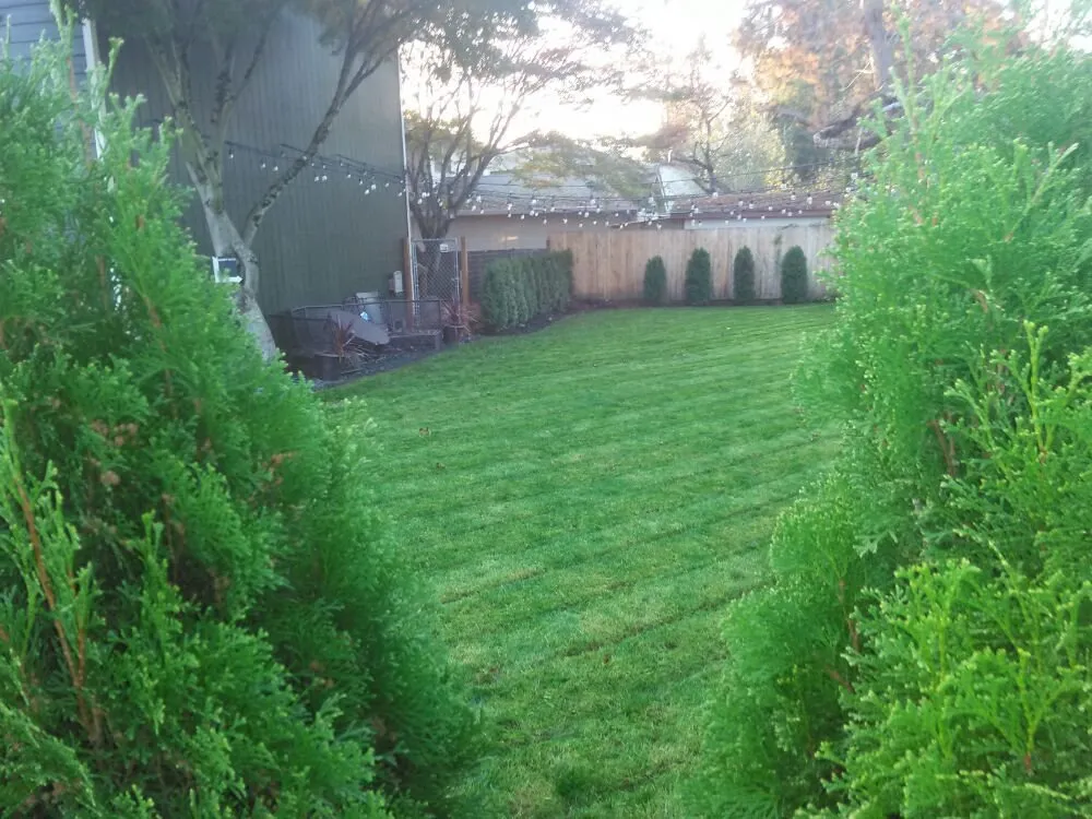Professional lawn care service for beautiful yards across Portland, OR - All Around Yard Care Services