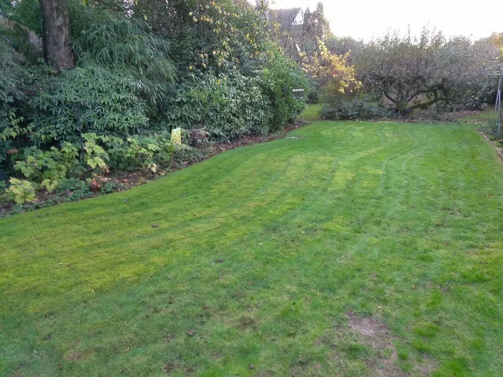 Top-rated outdoor landscaping for homes in Portland, OR by All Around Yard Care Services