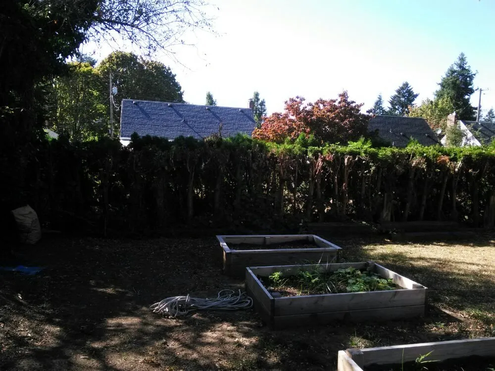 Reliable outdoor landscaping near you in Portland, OR by All Around Yard Care Services