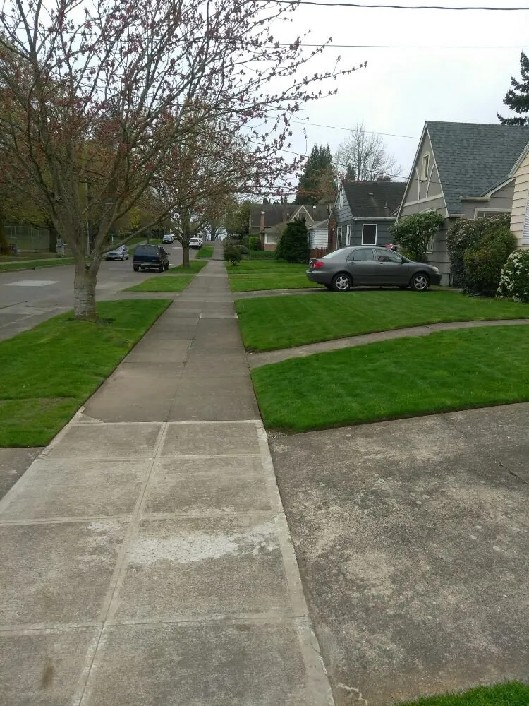Top-rated lawn care service experts serving Portland, OR - All Around Yard Care Services