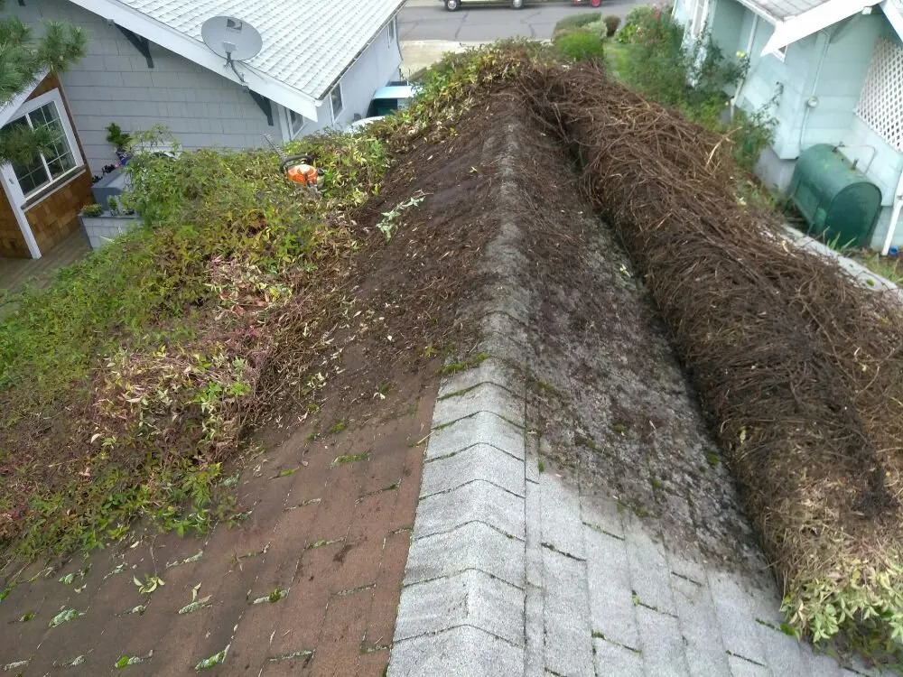 Trusted residential landscaping in Portland, OR by All Around Yard Care Services