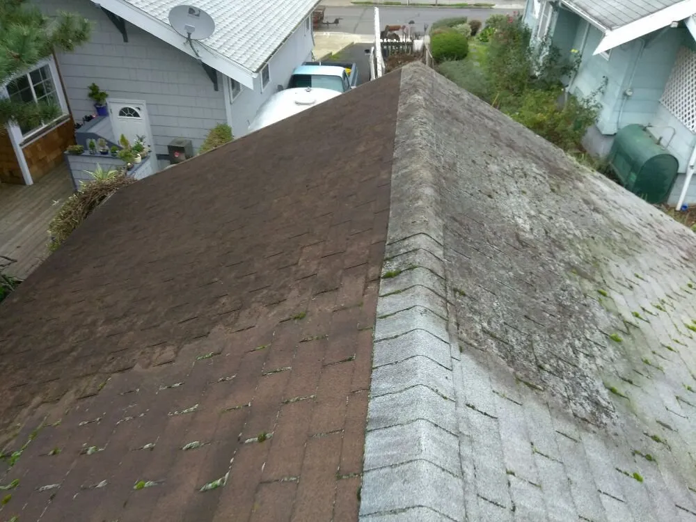 Reliable yard maintenance experts serving Portland, OR - All Around Yard Care Services