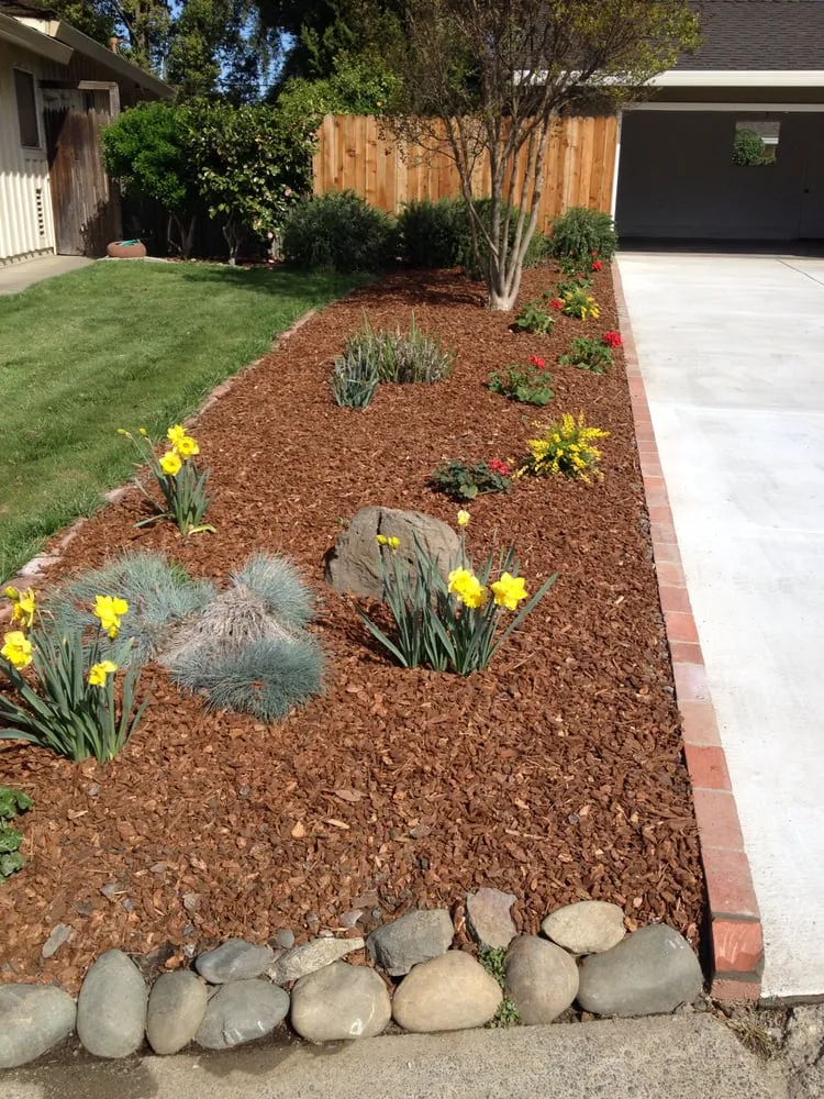 Top-rated landscape installation in Sacramento, CA - All Around Yard Maintenance