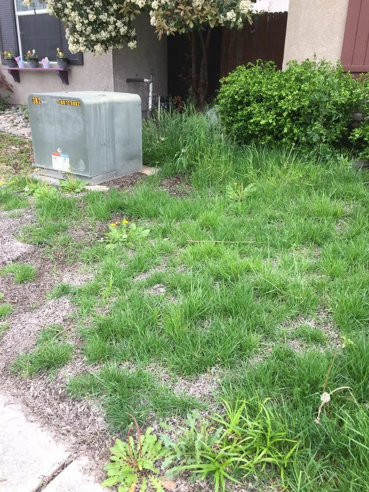 Affordable yard maintenance in Sacramento, CA by All Around Yard Maintenance
