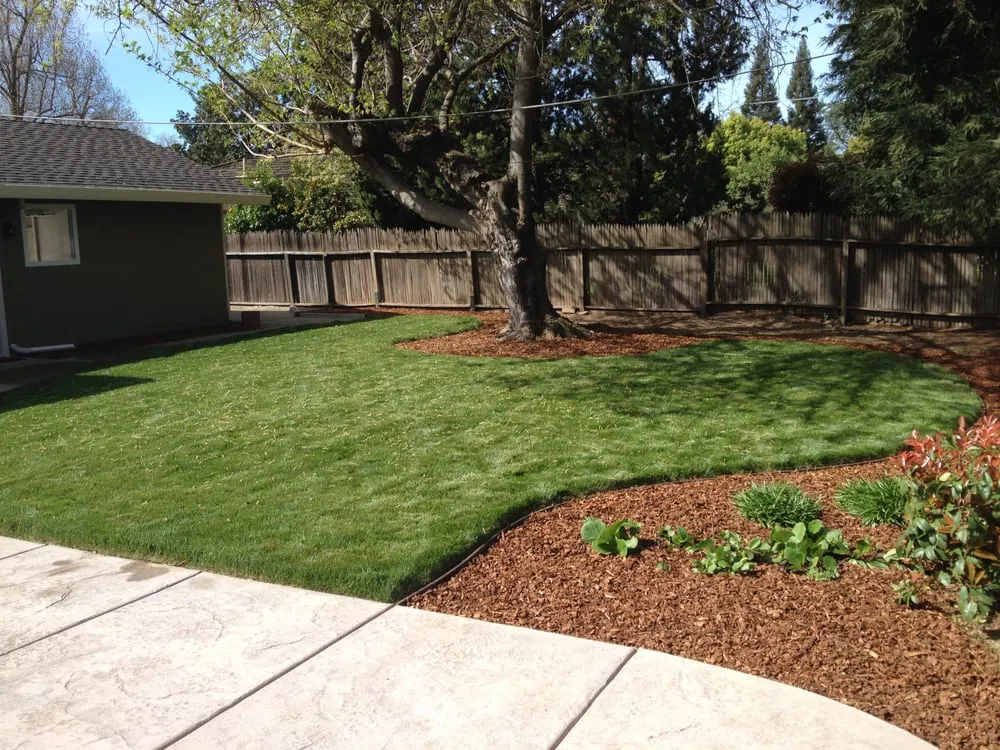 Trusted landscape installation experts serving Sacramento, CA - All Around Yard Maintenance