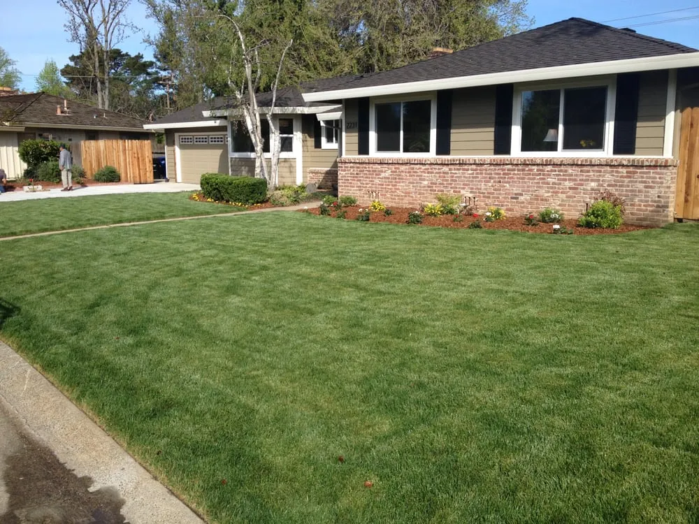 Reliable outdoor landscaping in Sacramento, CA - All Around Yard Maintenance