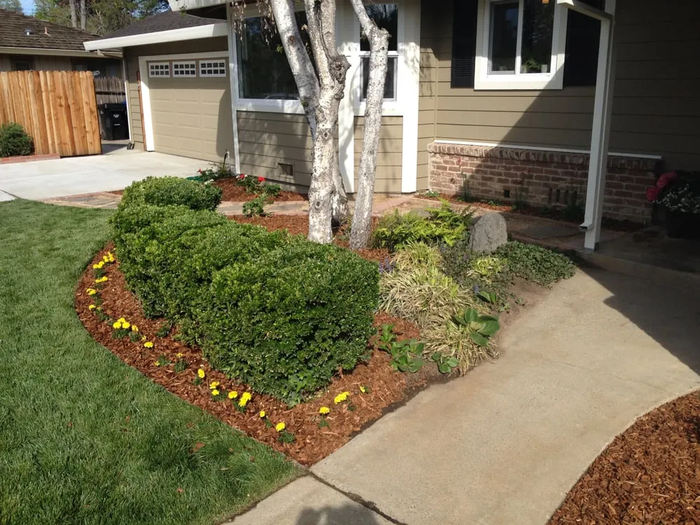 Local yard cleanup service near you across Sacramento, CA - All Around Yard Maintenance