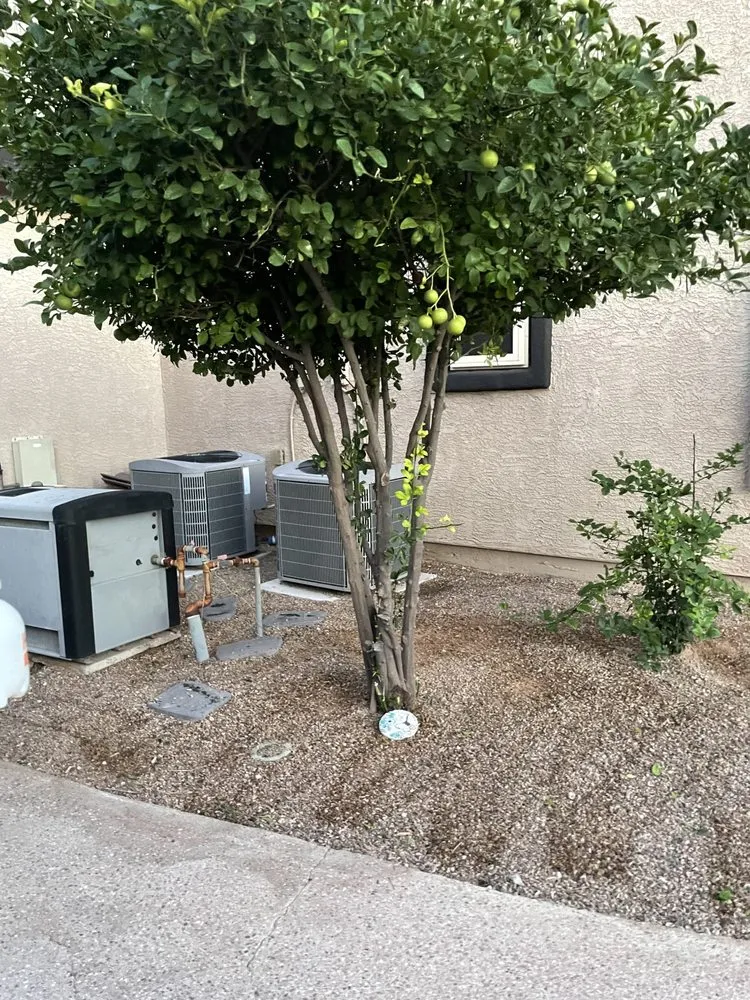 Custom yard maintenance for outdoor upgrades across Tucson, AZ - All A’s Landscaping & Handyman Services