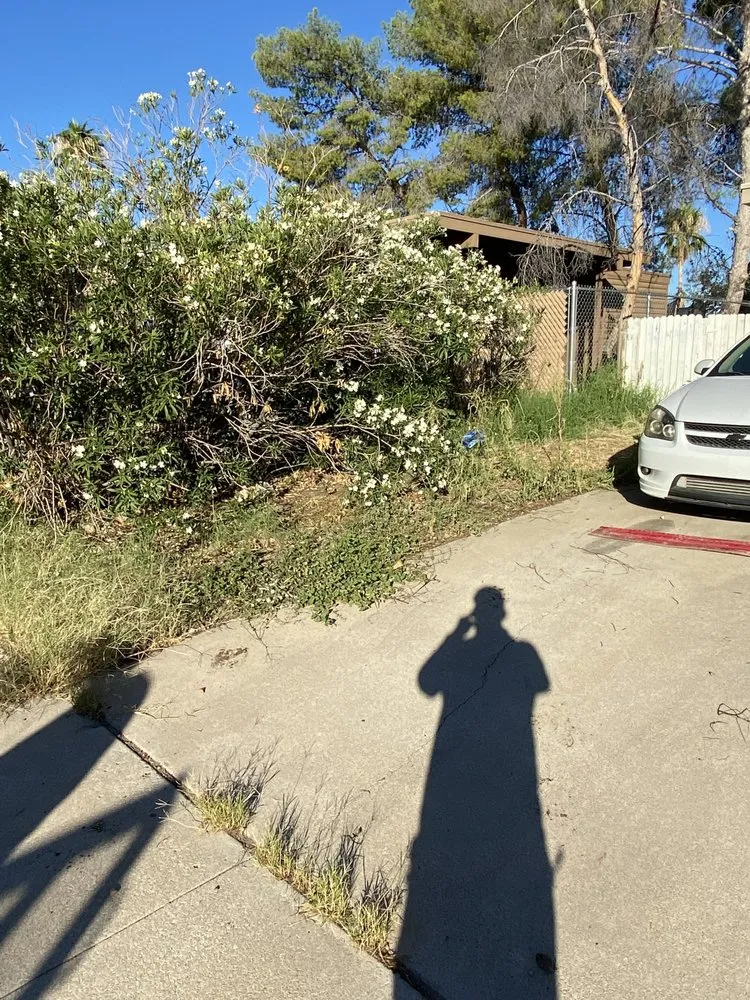 Expert landscape installation for residential properties in Tucson, AZ by All A’s Landscaping & Handyman Services