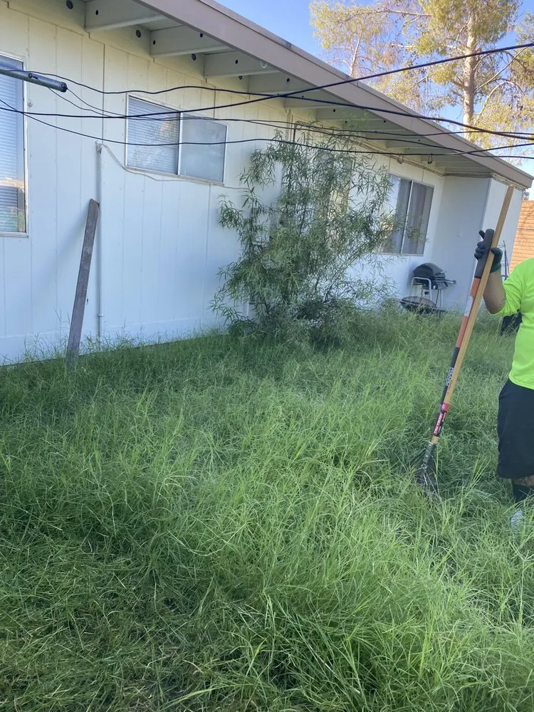 Professional yard cleanup service in Tucson, AZ - All A’s Landscaping & Handyman Services