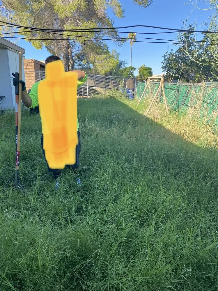 Reliable landscape design experts serving Tucson, AZ - All A’s Landscaping & Handyman Services