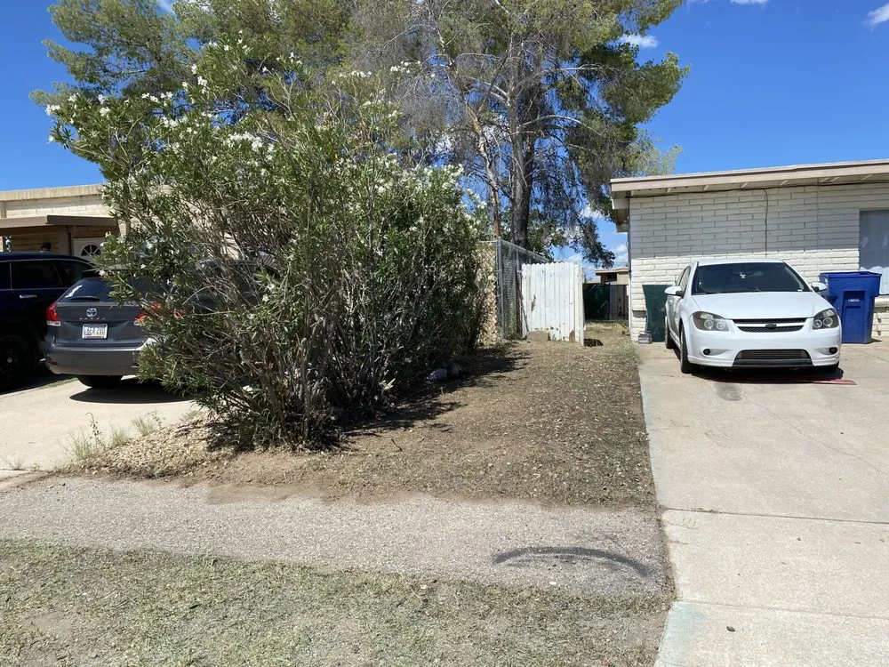 Top-rated landscape installation for residential properties across Tucson, AZ - All A’s Landscaping & Handyman Services